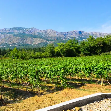 Vila Nature Retreat
